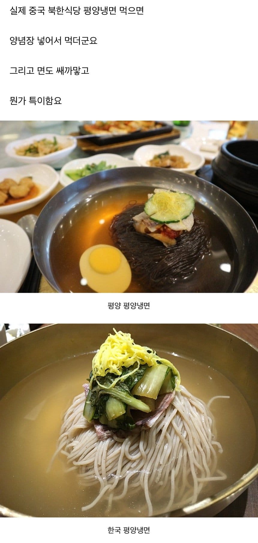 실제 평양냉면 vs 한국 평양냉면 차이.jpg