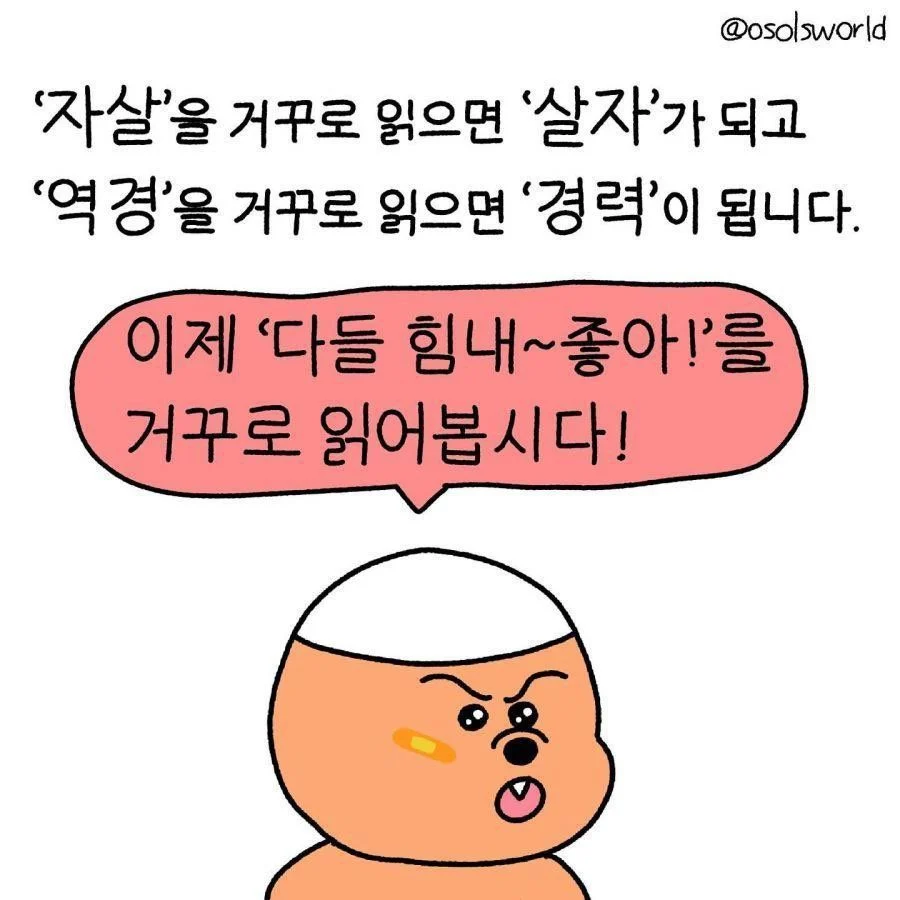 자살을 거꾸로 하면 살자가 되고 역경을 거꾸로 하면 경력이 됩니다