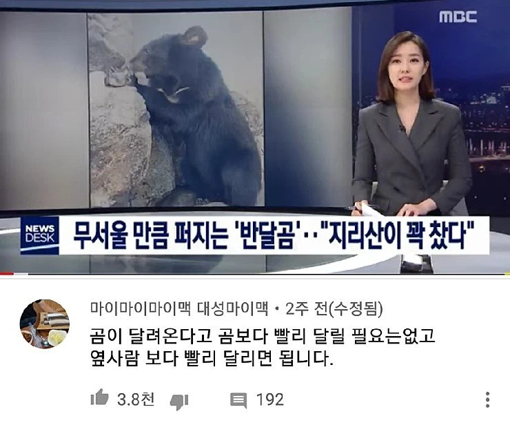 곰이 달려올때 살아남는 방법