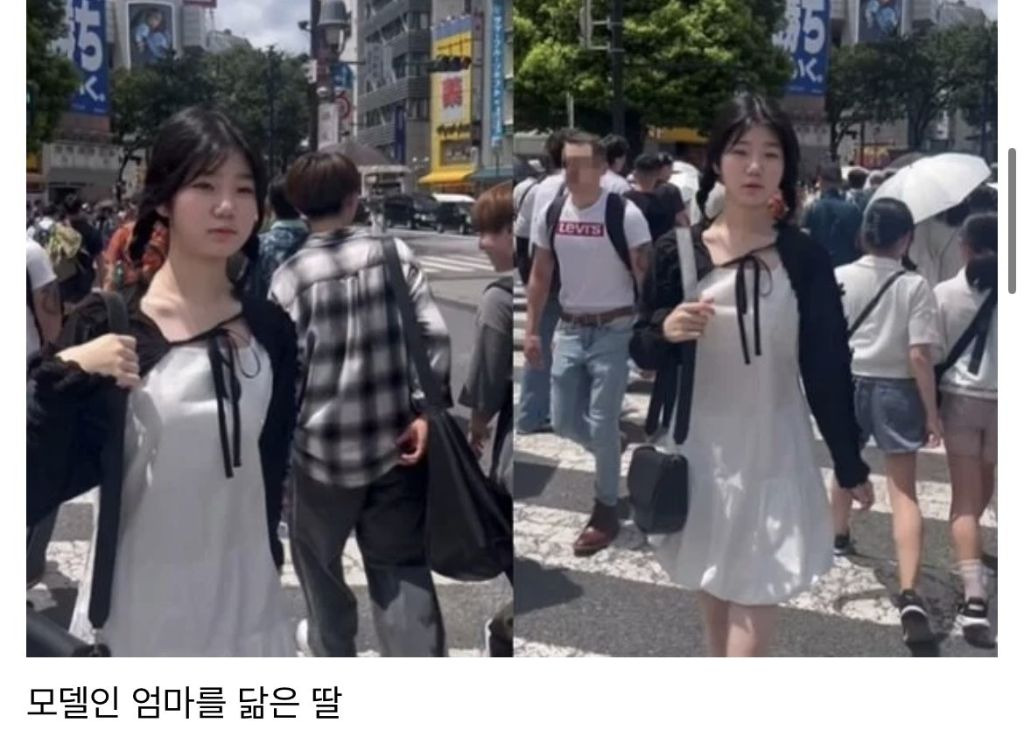 				유전자 분배의 올바른 예시