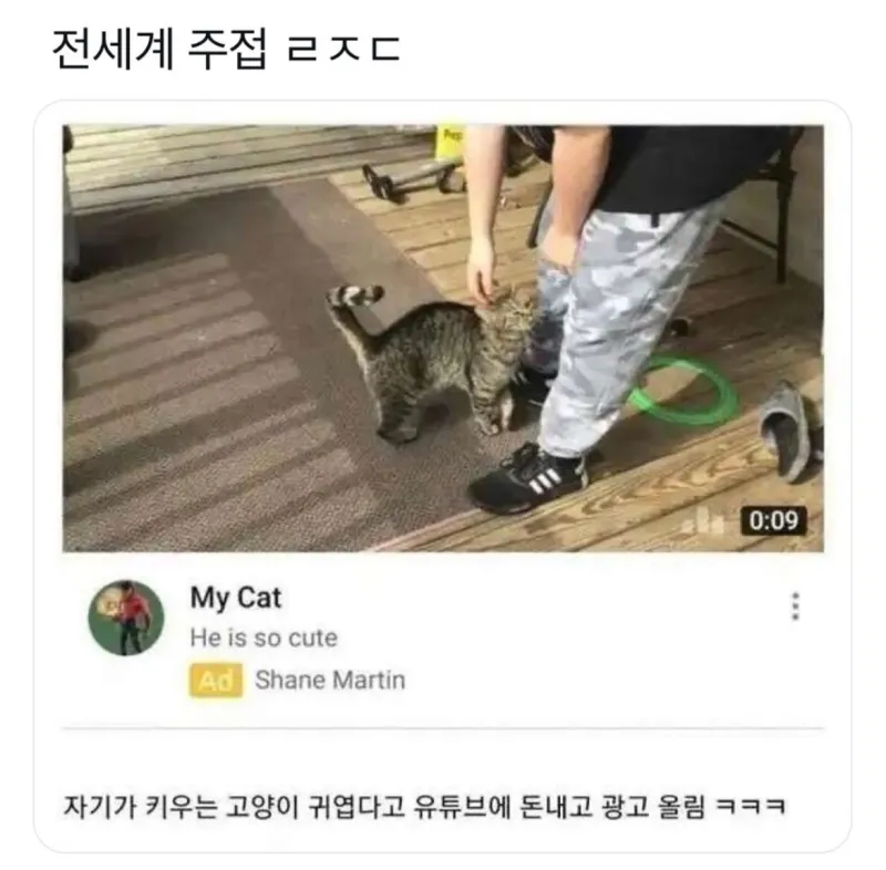 전세계 주접 ㄹㅈㄷ