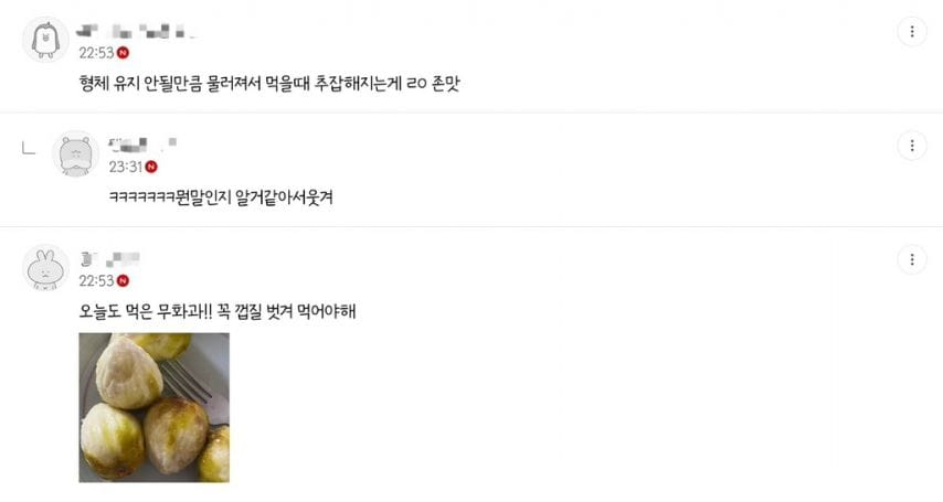 진짜 존맛인 무화과를 먹으려면 전남으로 사람이 내려가야함