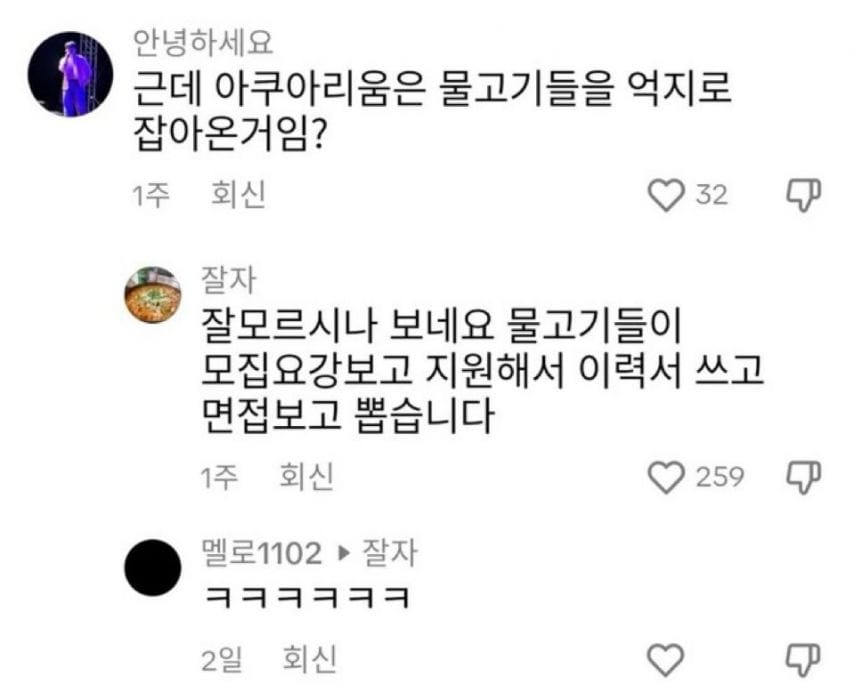 근데 아쿠아리움은 물고기들을 억지로 잡아온거임?