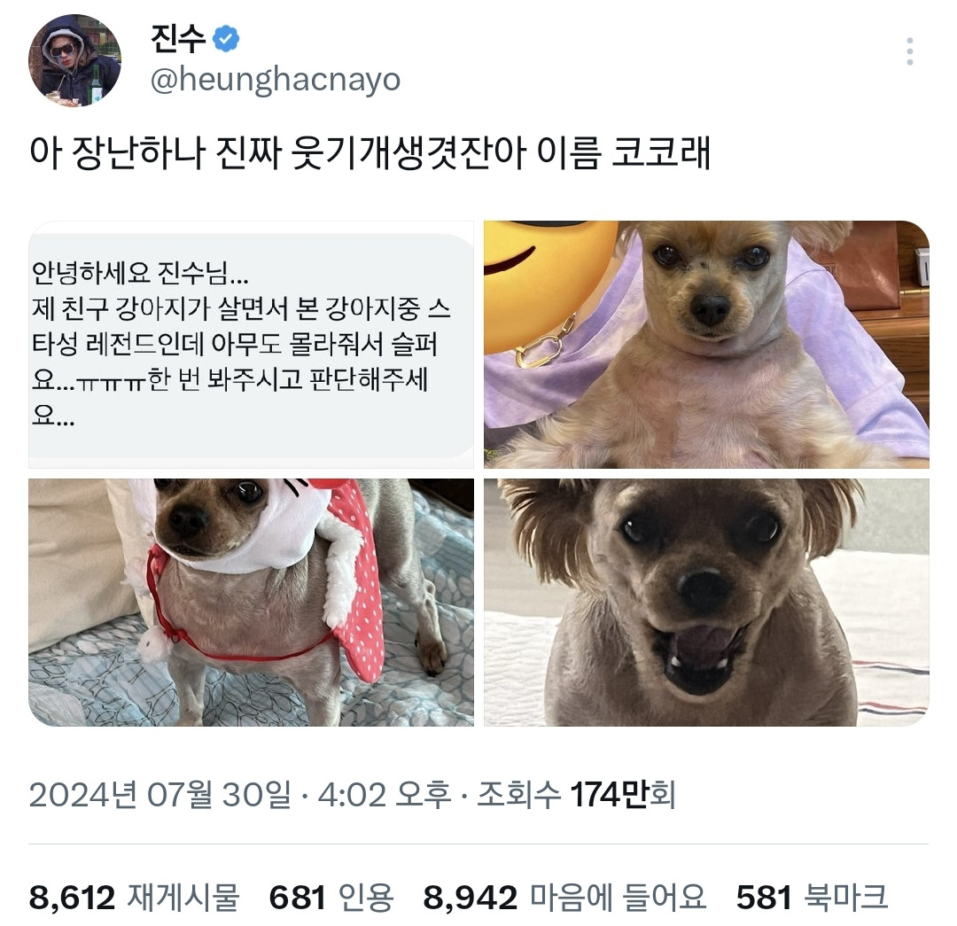 남의 집 강아지 보고 진짜 웃기게 생겼다뇨ㅠ.twt