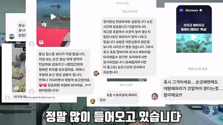 동해안을 점령한 노무라입깃해파리 퇴치하고 튀겨먹어보는 유튜버.jpg