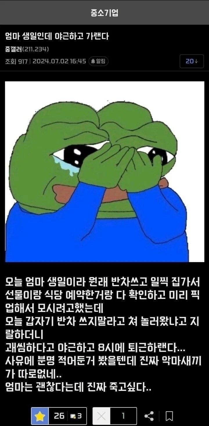 엄마 생일이라 반차 썼는데 야근 시킨 ㅈ소 기업