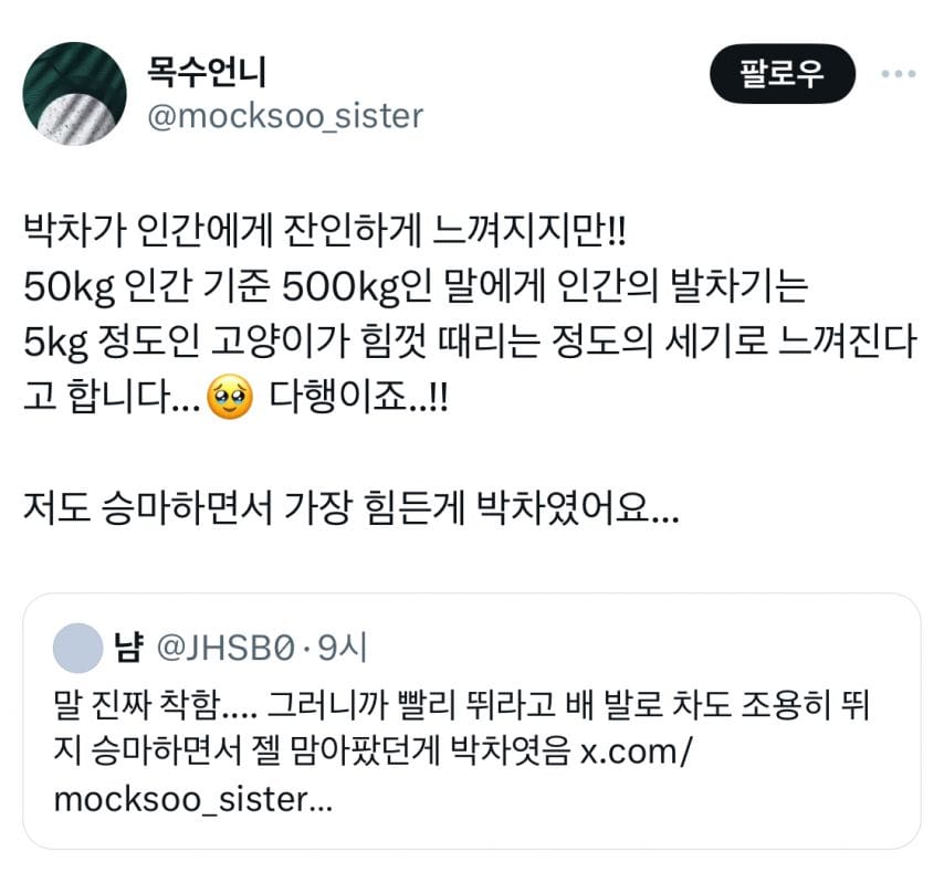 말 타면서 배 차는거 너무 잔인하지 않냐