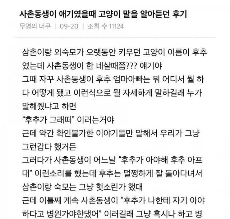 사촌동생 어릴때 고양이가 말해준 얘기.jpg