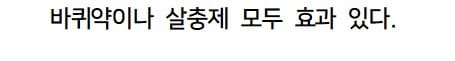 혐 주의] 바퀴약이 바퀴벌레 알에게도 효과 있을까.jpg