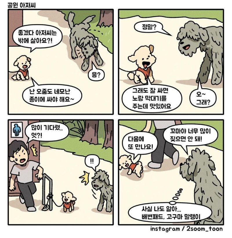 공원 아저씨.toon