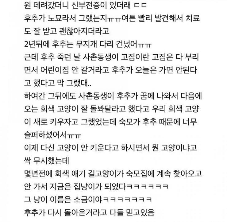 사촌동생 어릴때 고양이가 말해준 얘기.jpg