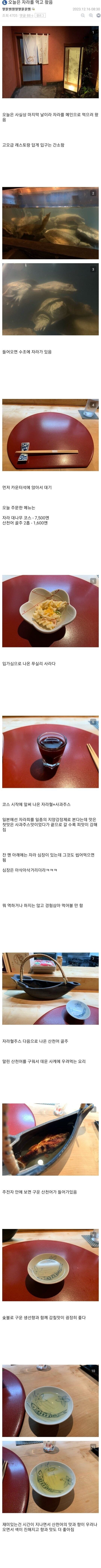 자라코스요리를 먹은 디시인