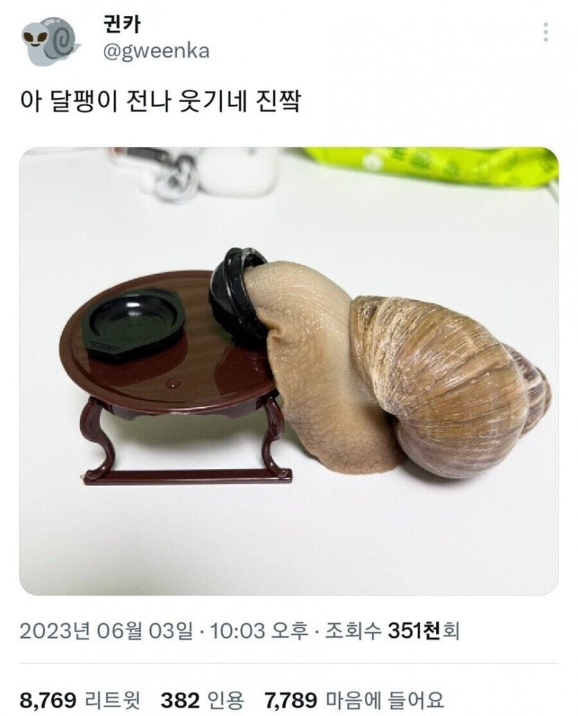 국밥을 먹을 줄 아는 달팽이