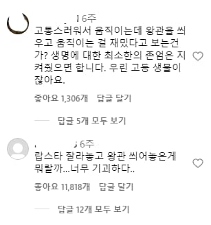 인스타에서 기괴하다고 한다는 랍스터 식당