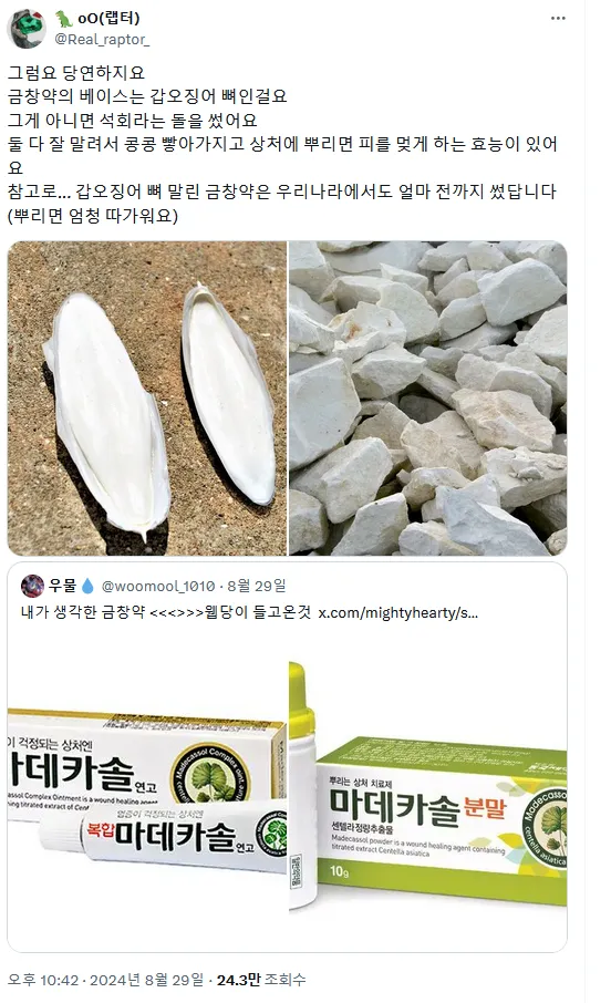 갑오징어 뼈 진짜 신기하네