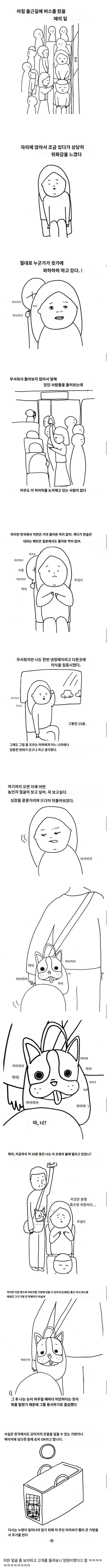 한국에서 특수한 치한을 당한 일본인