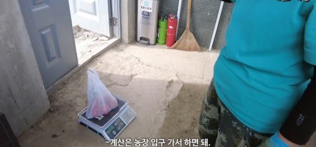 본인피셜 파워E라는 여성이 혼자 중국 시골 여행하는 하루.jpg