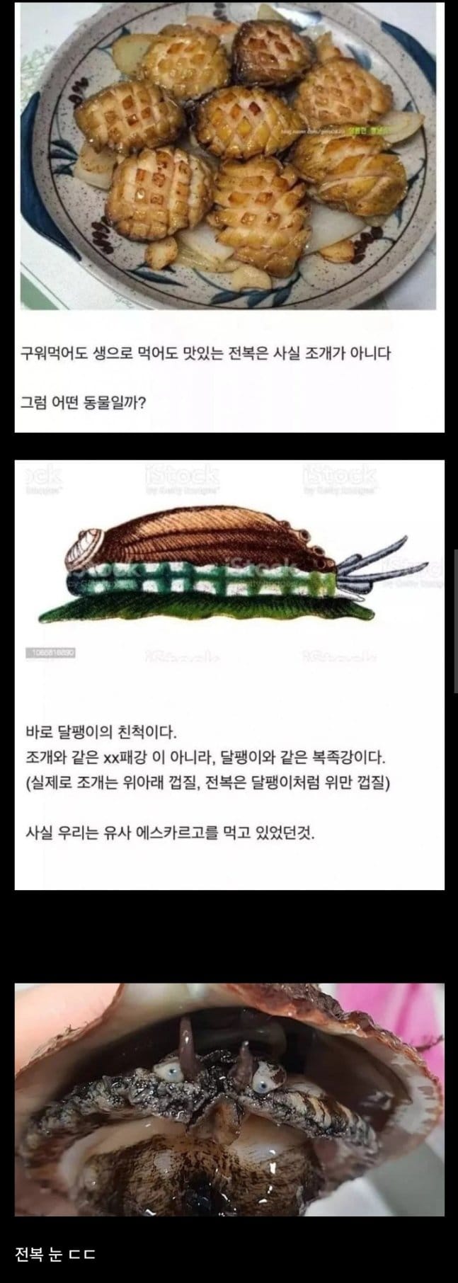 사람들이 잘모르는 전복의 정체..jpg