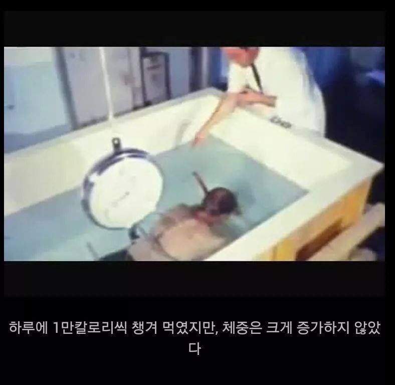 아무리 먹어도 살이 안찌는 체질에 대한 실험