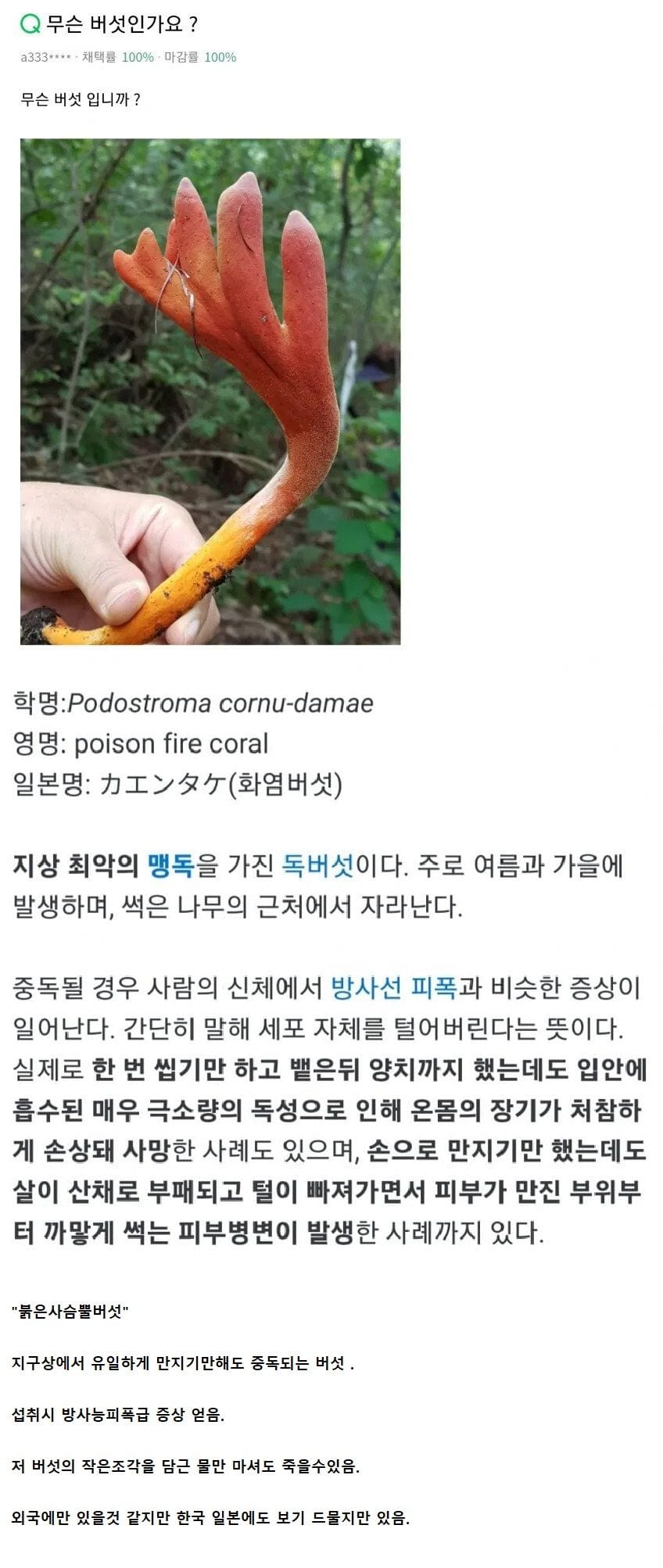 지구에서 가장 위험한 버섯.