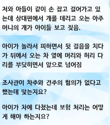 차주 잘못이다 vs 견주 잘못이다로 싸우고 있는 짤