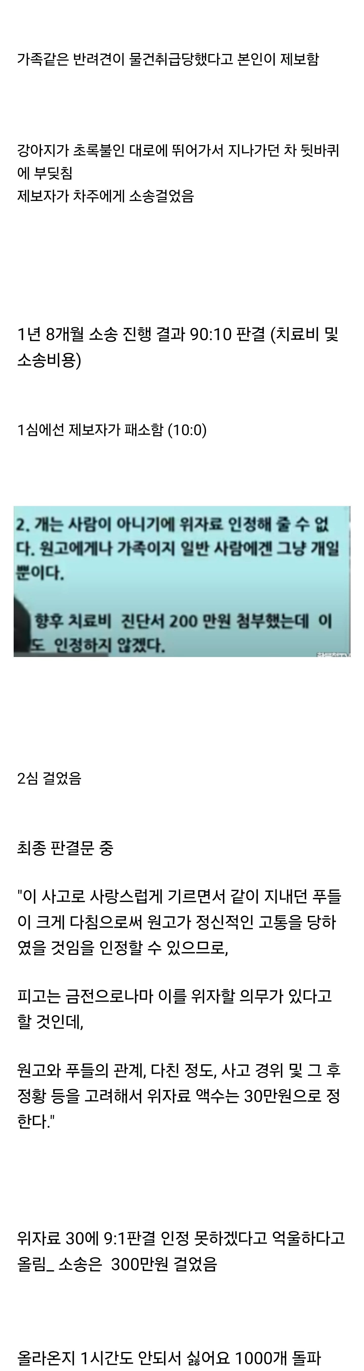 반려견 사고중 제일 싫어요 많이 찍힌 사건