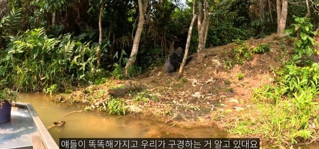 여행유튜버가 말라리아 위험 감수하고 콩고 야생에 간 이유.jpg