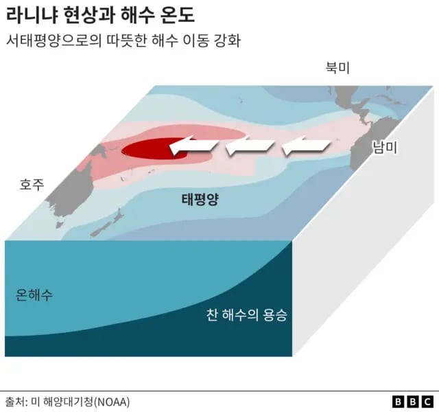 지금 진짜 이상해진 지구 근황.jpg