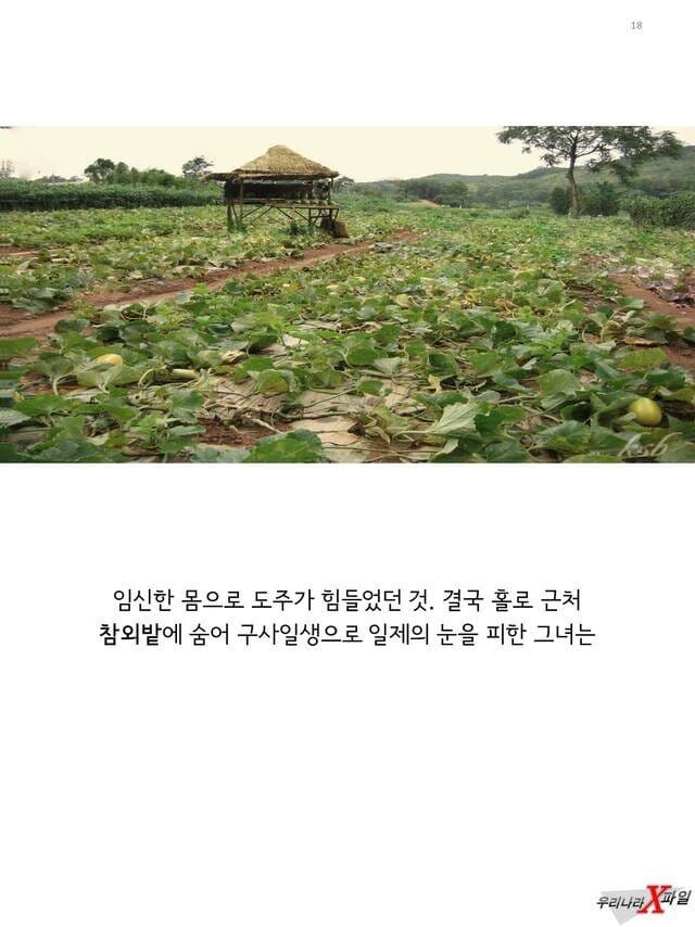 독립운동가 안경신 의사...