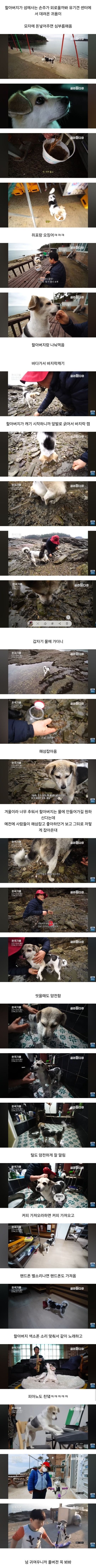 할아버지가 유기견 센터에서 데려온 귀욤이