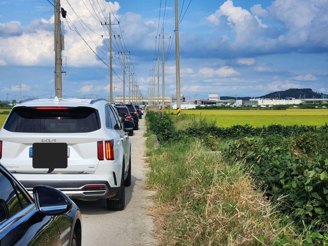 얼마 전 티맵 귀성길 논밭 사태 반대차선 뷰