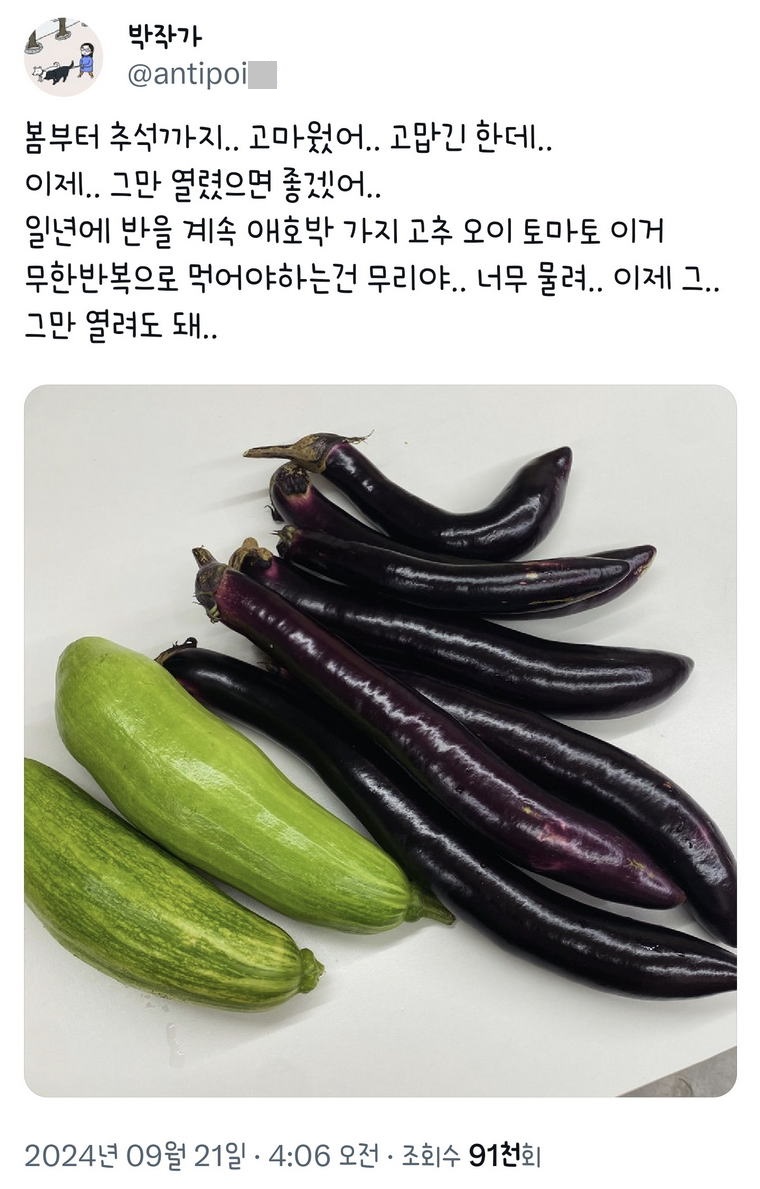 텃밭 또는 주말 농장 해본 사람만 아는 고통.jpg