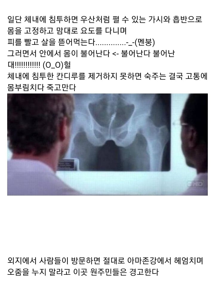 ( 혐) 아마존강에서 쉬야를하면 안되는 이유