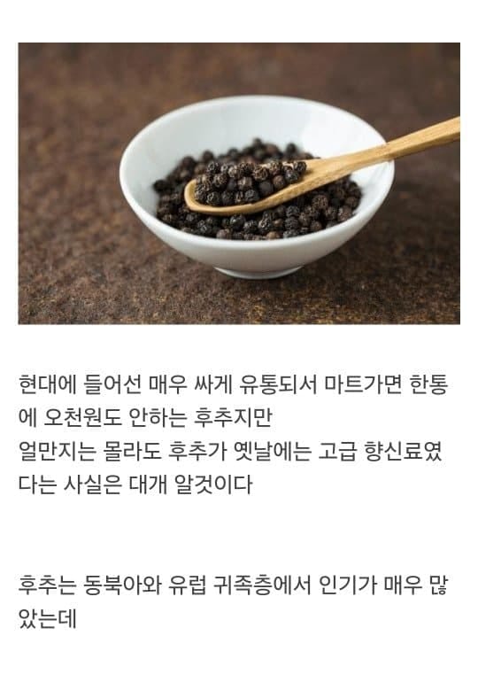 천년동안 금보다 비쌌던 향신료.jpg