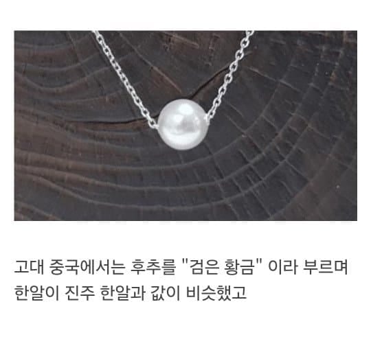 천년동안 금보다 비쌌던 향신료.jpg