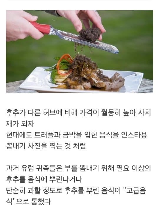 천년동안 금보다 비쌌던 향신료.jpg