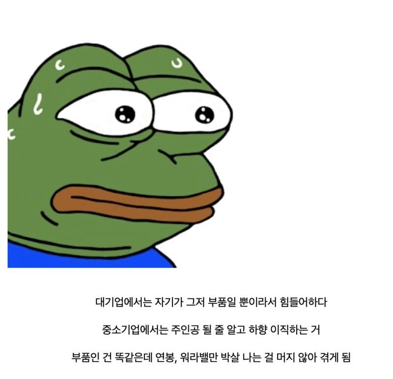 대기업 다니는 사람이 할 수 있는 최악의 선택.jpg