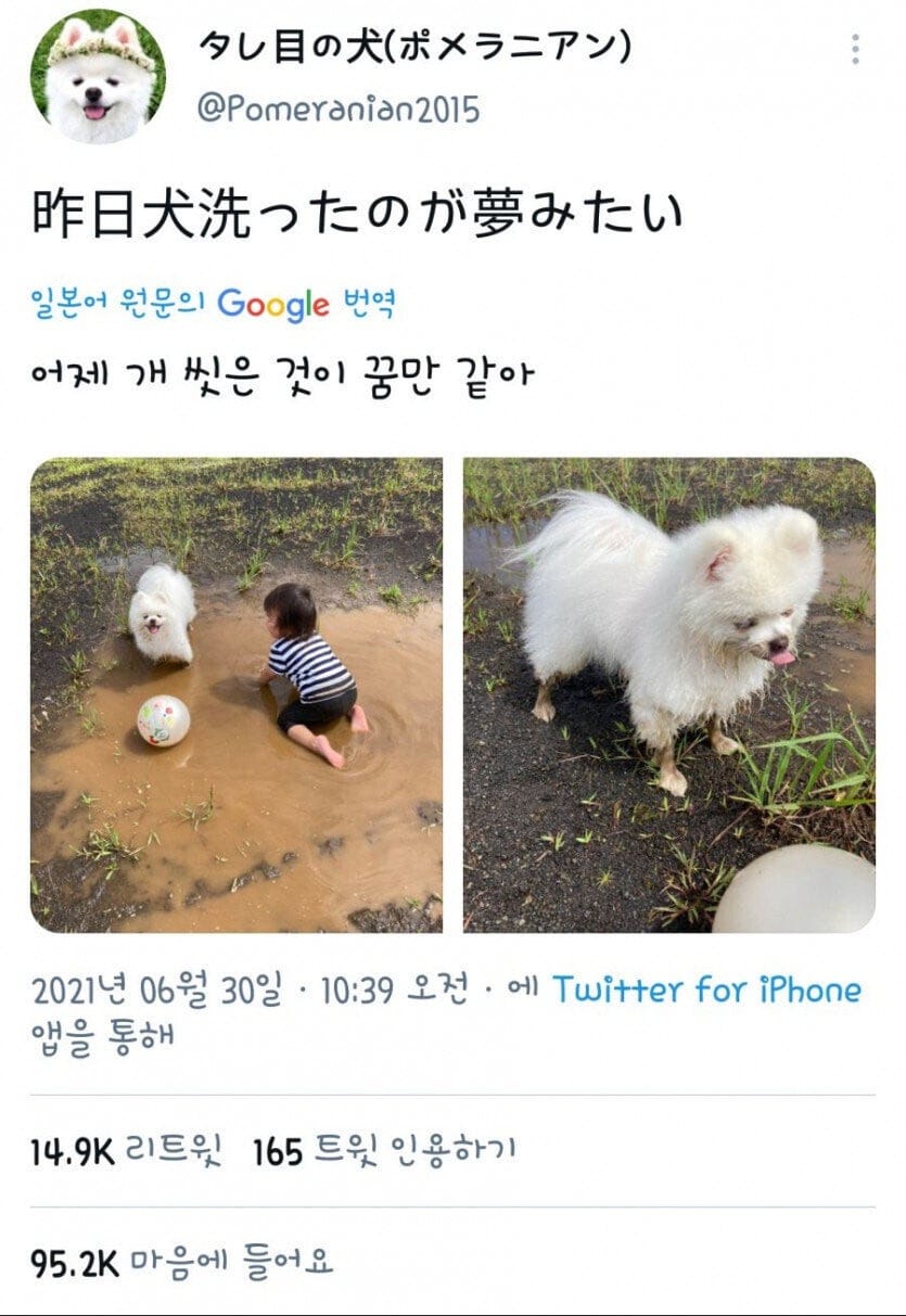 엄마 빼고 모두가 즐거운 상황