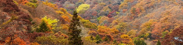 땅을 보는 눈이 아주 정확하셨던 할아버지.jpg