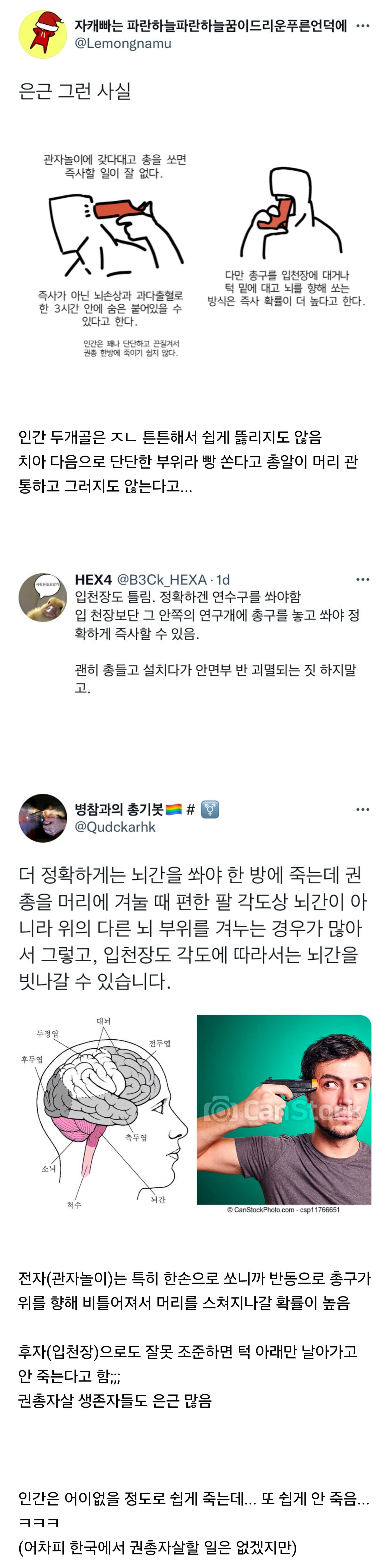 관자놀이에 총을 쏘면 즉사하는 경우가 잘 없다