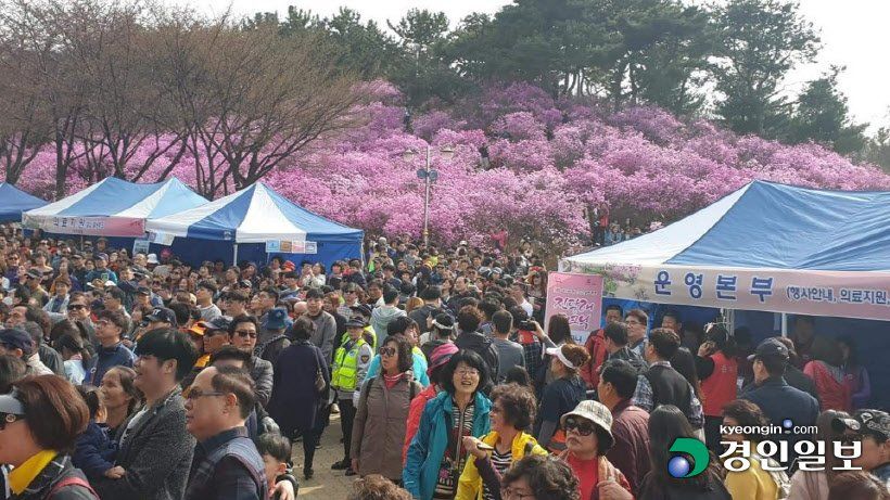 K공무원들이 진심일때 벌어지는 일