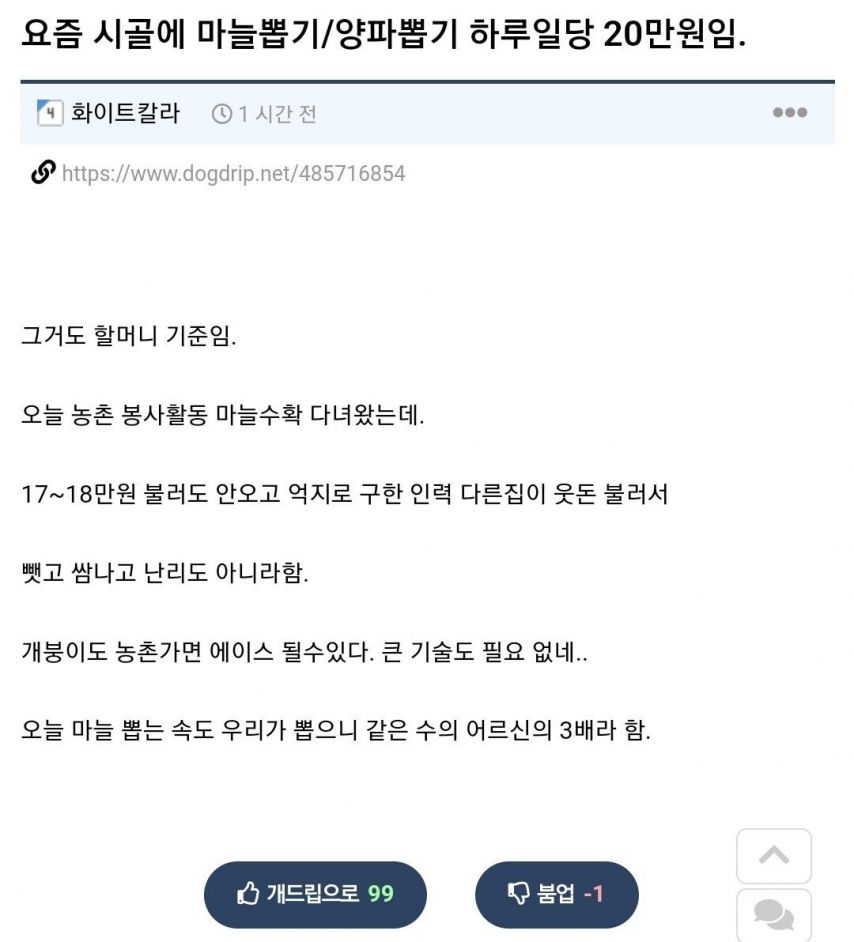 요즘 시골에 마늘뽑기 / 양파뽑기 하루 일당.jpg