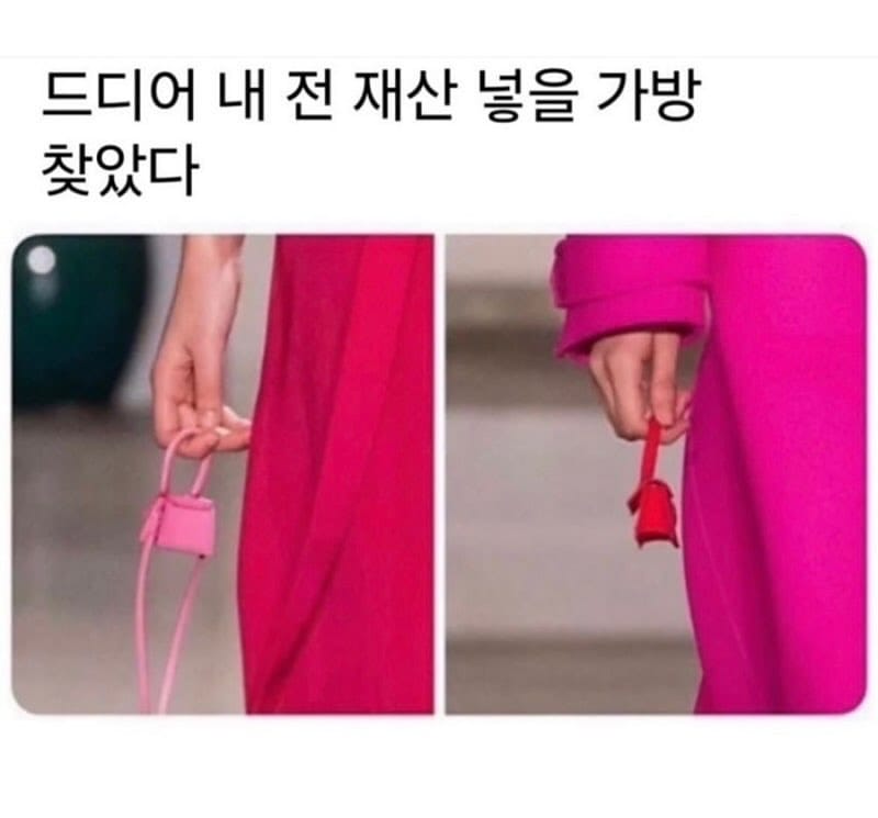 드디어 내 전재산 넣을 가방 찾았다!!!