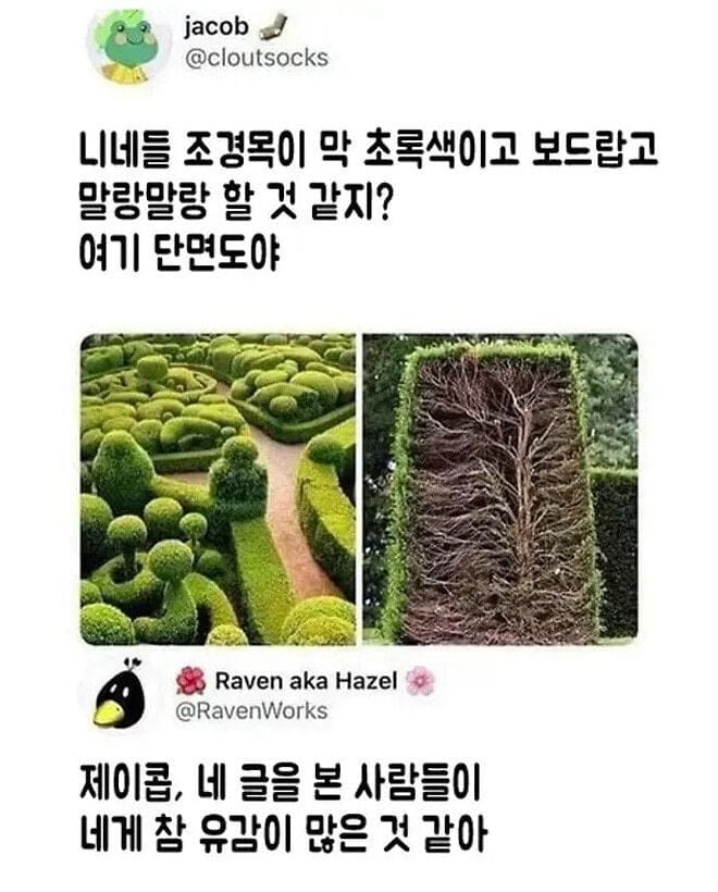 게임에서 조경수 못뚫는 이유