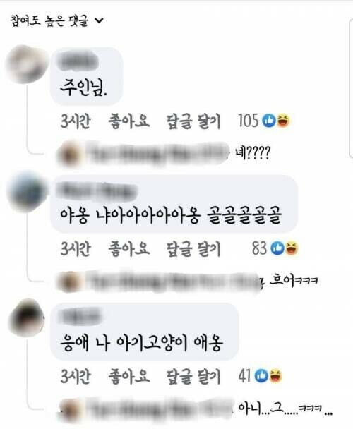 이거 회 떠서 고양이 먹여도 되나요?