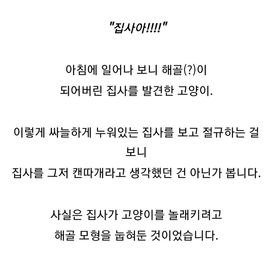 자고 일어나니 집사가 백골이 되버린걸 본 고양이