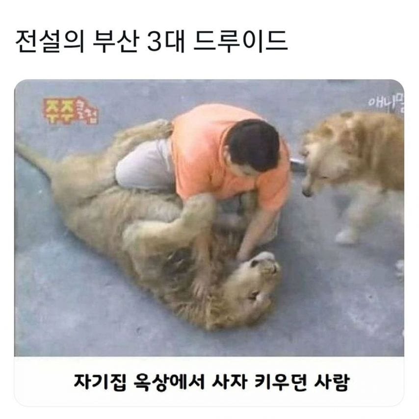 전설의 부산 3대 드루이드