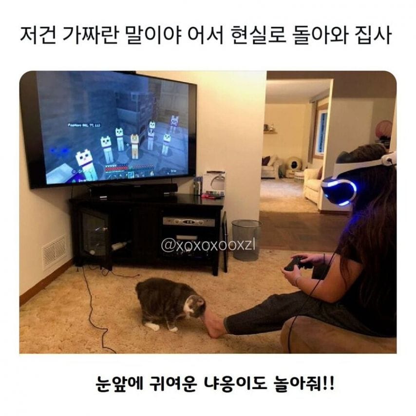 저건 가짜야! 나는 여기에 있어!