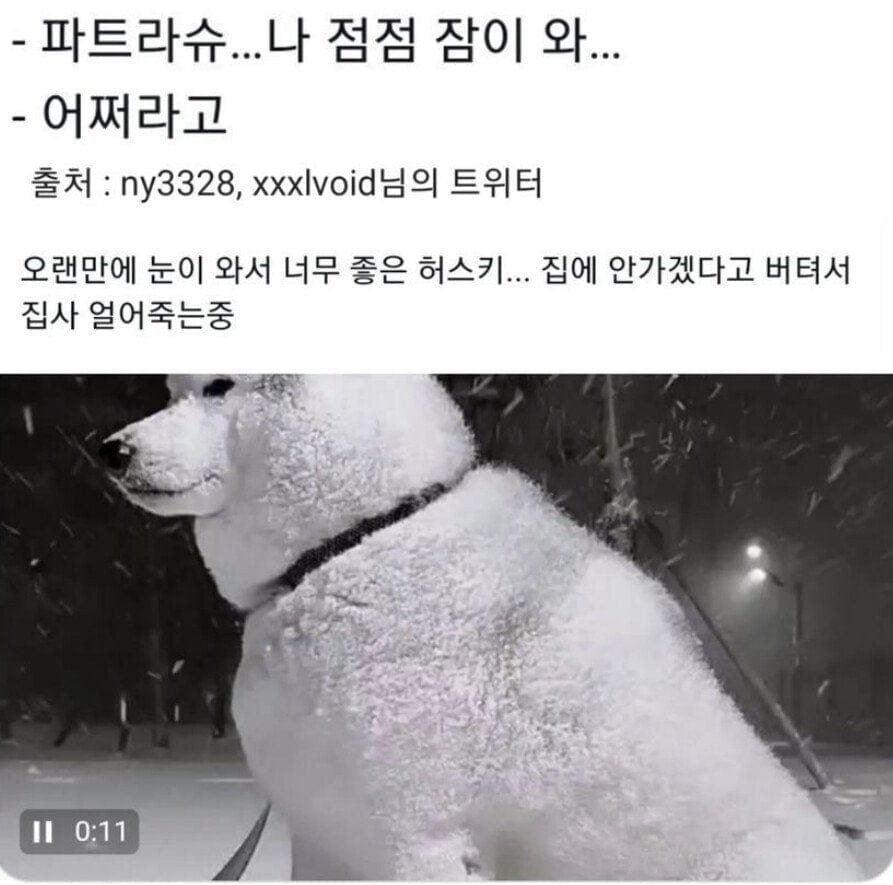 파트라슈... 나 점점 잠이 와...