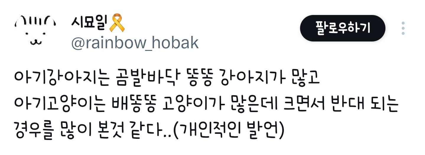 강아지가 이정도로 롱다리로 클지 몰랐다는 견주